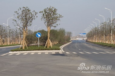 荣校东路将成为市区绿化档次最高的景观大道_