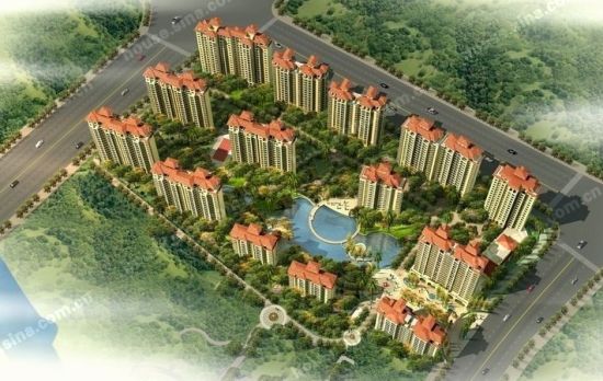 金色阳光销售率超九成 专家分析有三大成因 _