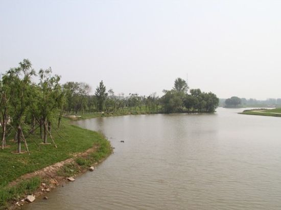 看房日记之金澜名邸---灯塔葛西河畔邂逅风景