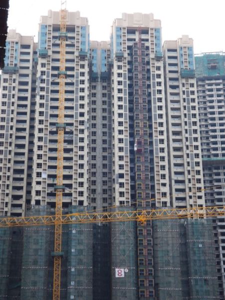 花果园一期住宅相继进入外立面施工(2)