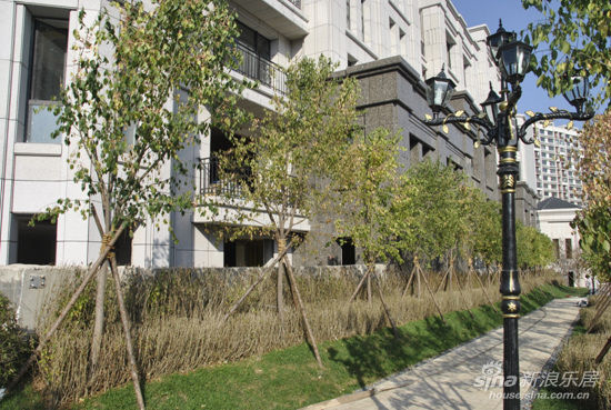 在景观设计上,保持欧式新古典台地园林的华丽气势,运用现代手法将台地
