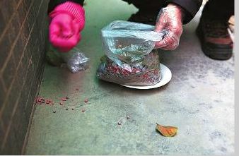 物业说只因小区老鼠多,业主担心猫狗误食鼠药 物业说只因小区老鼠多,业主担心猫狗误食鼠药