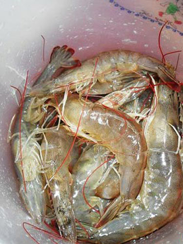 海鲜“打边炉”
