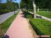 �������¼�԰ ʵ��ͼ 2008-9-10��С����·