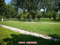 �������¼�԰ ʵ��ͼ 2008-9-10��С���̻�-1