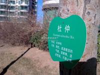 �齭���� ʵ��ͼ ������ʵ��