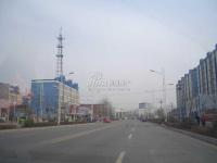 金地格林小镇 实景图 周边道路