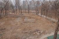 广渠路15号地 实景图 地块实景