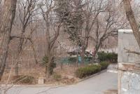 广渠路15号地 实景图 地块实景