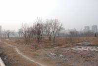 广渠路15号地 实景图 地块实景
