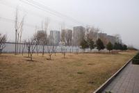 广渠路15号地 实景图 周边实景