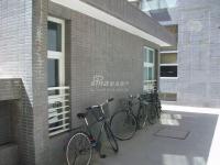 Զ��羰 ʵ��ͼ ¥��ʵ��