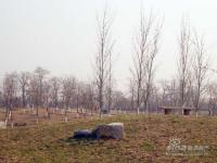 ��ɽ���� ʵ��ͼ �ܱ߻���