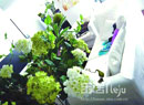 ������ʦ�ľ�ס����
