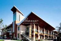 �����ɽͥԺ֪�˽�