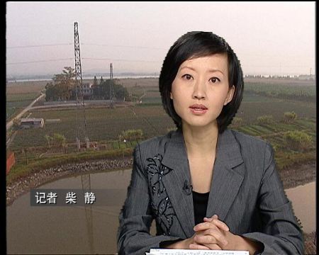 [转载]央视主持人柴静