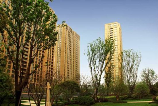 绿城欧式庭院地面铺装