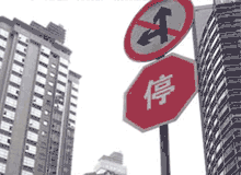 新浪房产