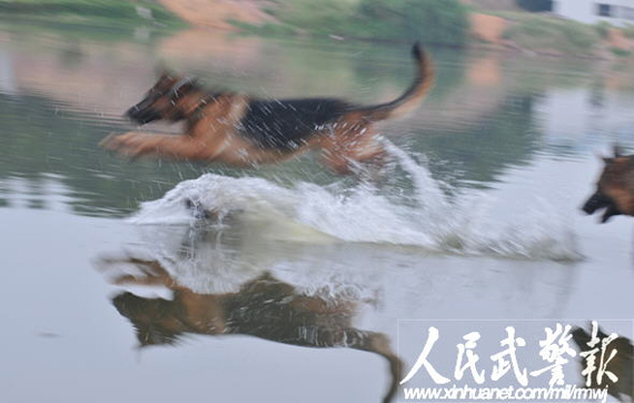 ����ֻҪ����Ŀ�꣬���ǵ�ɽ��Ҳ�ҳ塣����ˮ�з���Ŀ�꣬��������ˮ�Ϸ�һ���˹�ȥ��    ͼƬ��Դ�������侯���������ޡ���