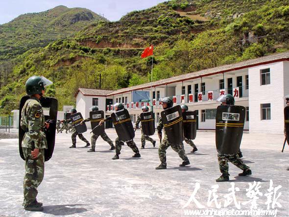 我为伟大祖国站岗:守护金山的雄鹰