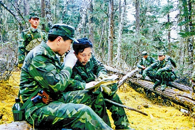 龚曲此里:梅里雪山雄鹰