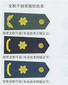 ��ְ�ɲ�����������