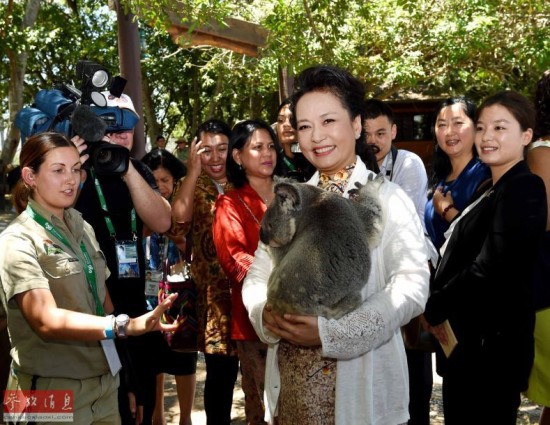 �վ��������쵼��"Χ��"��ý:G20�ڶ����п�Ļ