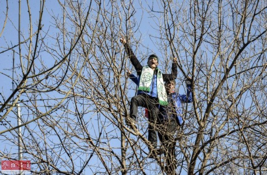 巴黎血案让美国人睡不着觉：怕纽约也遭独狼袭击