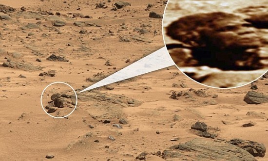 美空军揭秘离奇UFO事件:阿根廷司机射杀外星人