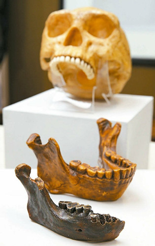 港媒:最老人类化石出土或将人类起源推早40万年