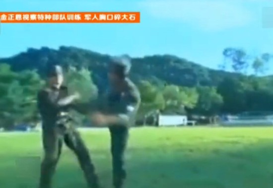 这只是个简单戏法:揭开武术师劈砖断木的科学真相