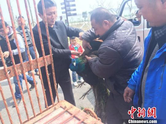 韩国流行出租宠物狗外媒：会给狗产生很大压力
