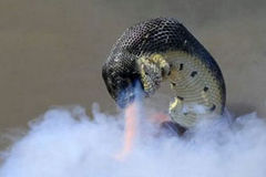 ���վ�������ʱ���׻���