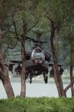 ̨ȷɹ30AH-64Dֱ 730̨