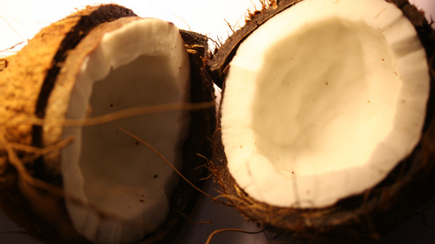 A coconut