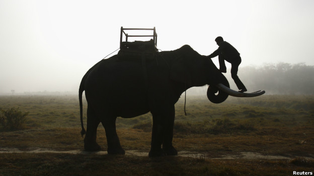 A man climbs onto an elephant in Nepal