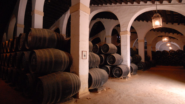 Barrels in a cellar in Spain