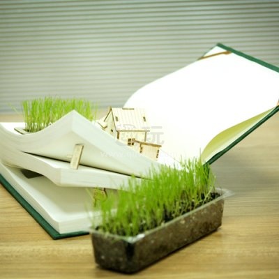��������-ũ������ �ۼۣ�78.00Ԫ