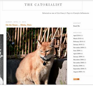 The Catorialist