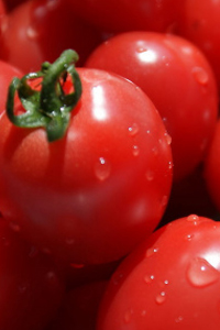 Mexico--ī����