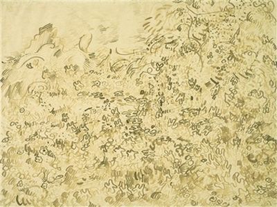 图为梵高作品《峡谷》下面隐藏有另外一幅描绘野生植物的油画