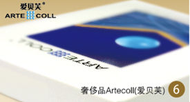 ¹ݳƷArtecoll