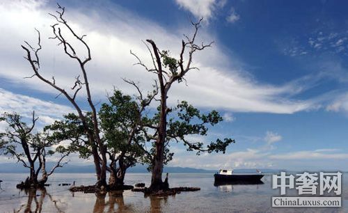 Ǳˮʤ����ѻ�� 