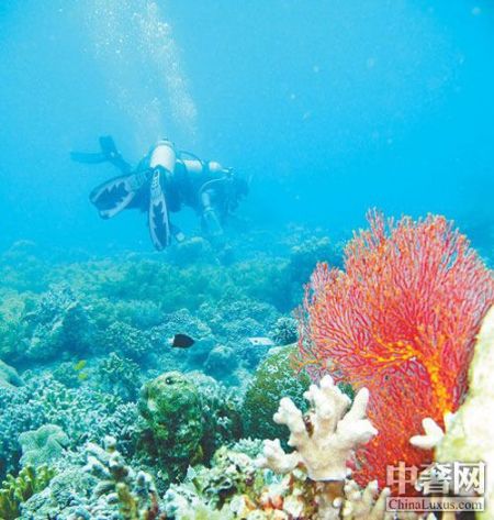 Ǳˮʤ����ѻ�� 