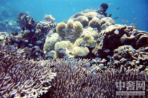 ���ں�Ͽ ����Ǳˮ����ʹ֮��