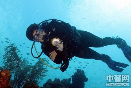 博内尔岛 感受加勒比海式潜水