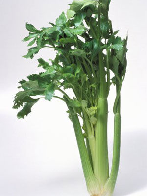 芹菜与圆白菜一起吃 两周大腿瘦一圈