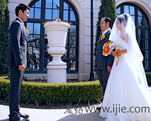 ��ϻ��������ó�ɫ�ʻ�������������������