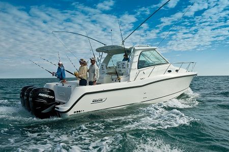 Boston Whaler345ͧ