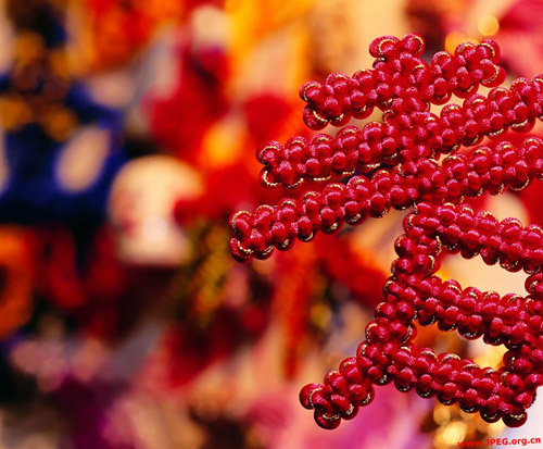 万达铂尔曼大饭店春节优惠活动(组图)